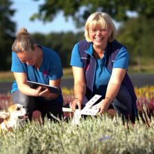 Gartenbau Betrieb, Making Of 2022
